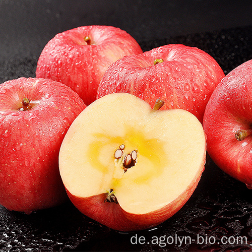 Süßer roter großer Fuji-Apfel auf Lager